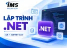 Ngôn ngữ lập trình .NET là gì? Ưu điểm và ứng dụng trong phát triển website, phần mềm