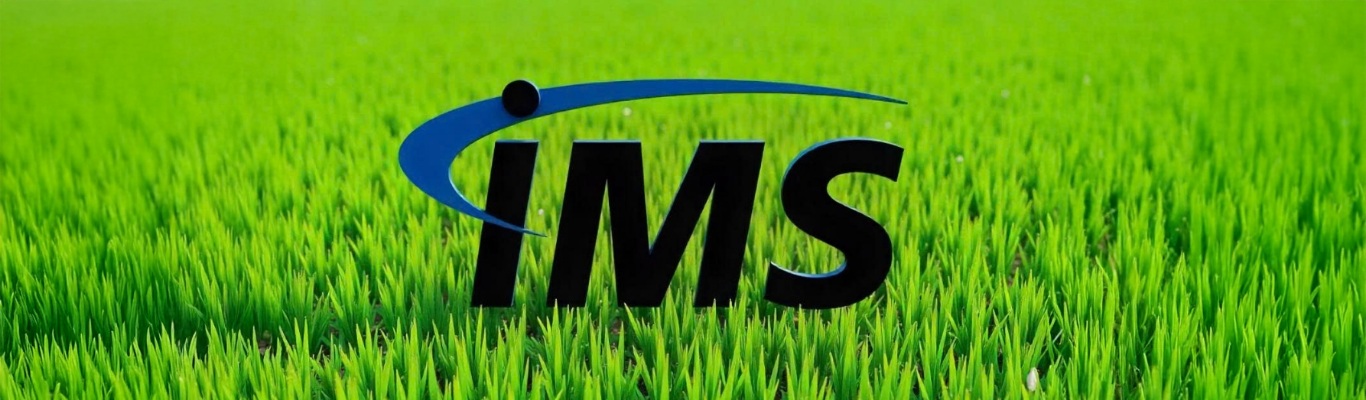 Video IMS