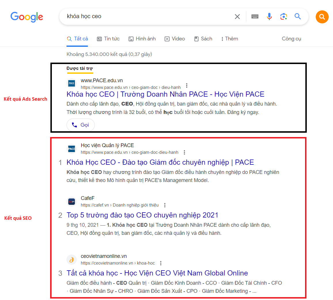 SEO trên công cụ tìm kiếm bằng giọng nói đang là xu hướng để tối ưu website